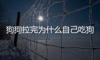 狗狗拉完為什么自己吃狗糧？狗為什么自己拉完還吃