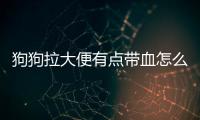 狗狗拉大便有點帶血怎么回事啊？狗狗拉大便有點帶血怎么回事吃什么藥