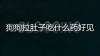 狗狗拉肚子吃什么藥好見效快(狗狗拉肚子能自愈嗎)