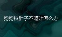 狗狗拉肚子不嘔吐怎么辦吃什么藥最好呢？狗狗拉肚子但不吐