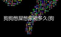 狗狗憋屎憋尿能多久(狗狗憋屎憋尿會有什么癥狀)