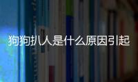 狗狗扒人是什么原因引起的？狗狗扒人怎么辦