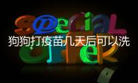 狗狗打疫苗幾天后可以洗澡(狗狗打了一針疫苗幾天后可以洗澡)