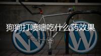 狗狗打噴嚏吃什么藥效果好(狗狗打噴嚏嗓子老咔咔的)