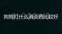 狗狗打什么消炎藥比較好(狗狗產后用什么消炎藥)