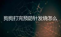 狗狗打完預防針發燒怎么辦?。抗饭反蝾A防針后發燒怎么辦