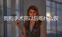 狗狗手術完以后吃什么恢復得最快(狗狗手術后吃東西嘔吐怎么辦)