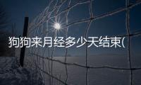 狗狗來月經多少天結束(狗狗一般來月經多少天)