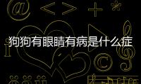 狗狗有眼睛有病是什么癥狀？狗狗有眼睛有病是什么病