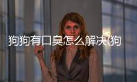 狗狗有口臭怎么解決(狗狗沒尿什么原因分析)