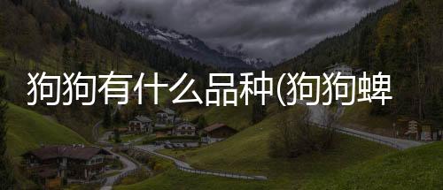 狗狗有什么品種(狗狗蜱蟲有什么癥狀)