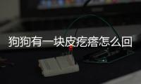 狗狗有一塊皮疙瘩怎么回事(狗狗有一塊皮疙瘩很癢)