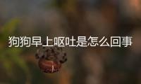 狗狗早上嘔吐是怎么回事(狗狗早上嘔吐白色泡沫怎么回事)