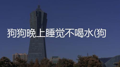 狗狗晚上睡覺不喝水(狗狗晚上不睡覺走來走去老喝水)
