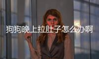 狗狗晚上拉肚子怎么辦啊吃什么藥？狗狗晚上拉肚子白天正常