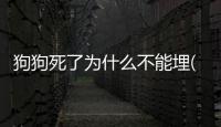 狗狗死了為什么不能埋(狗狗為什么不能喂飽)