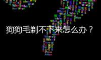 狗狗毛剃不下來(lái)怎么辦？狗毛剃不動(dòng)怎么辦