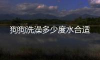 狗狗洗澡多少度水合適