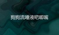 狗狗流唾液吧唧嘴