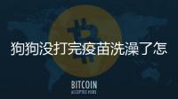 狗狗沒打完疫苗洗澡了怎么辦??？狗狗沒打完疫苗就洗澡了怎么辦