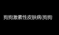 狗狗激素性皮膚病(狗狗體內激素分泌紊亂引起皮膚病)