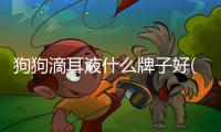 狗狗滴耳液什么牌子好(狗狗滴耳液用什么代替)