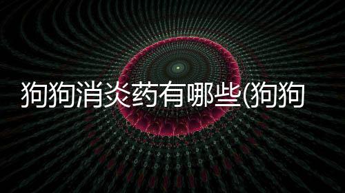 狗狗消炎藥有哪些(狗狗吃藥可以拌酸奶嗎)