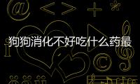 狗狗消化不好吃什么藥最好呢？狗狗消化不好吃點什么藥
