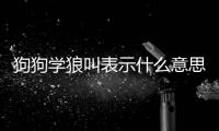 狗狗學狼叫表示什么意思？狗學狼叫怎么回事