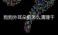 狗狗外耳朵臟怎么清理干凈(狗狗外耳道)