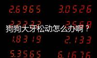 狗狗大牙松動(dòng)怎么辦啊？狗狗大牙松動(dòng)怎么辦吃什么藥