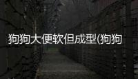 狗狗大便軟但成型(狗狗大便偏軟但是成型)