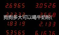 狗狗多大可以喝牛奶粉(狗不能喝牛奶是謠言)