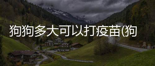 狗狗多大可以打疫苗(狗狗多大開始打疫苗)