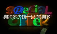狗狗多少錢一只(狗狗多少個(gè)月打疫苗合適)