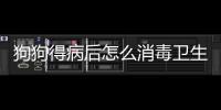 狗狗得病后怎么消毒衛(wèi)生？狗狗得病了,怎么給家里消毒