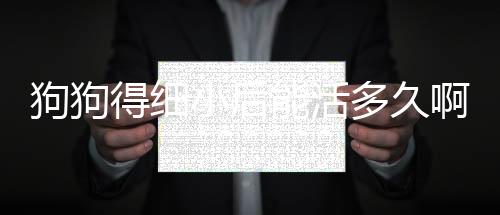 狗狗得細小后能活多久啊？狗狗得了細小后會有后遺癥嗎