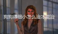 狗狗得細小怎么治才能治好？狗狗得細小怎么治療