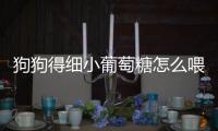 狗狗得細小葡萄糖怎么喂(喂狗狗葡萄糖要稀釋嗎)