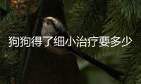 狗狗得了細(xì)小治療要多少錢一次，狗狗得了細(xì)小治療要多少錢呢