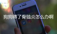 狗狗得了骨髓炎怎么辦啊？狗狗骨髓炎一般能活多久