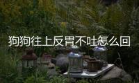 狗狗往上反胃不吐怎么回事(狗狗晚上喘氣急促怎么回事)