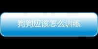 狗狗應該怎么訓練
