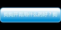 狗狗開(kāi)胃用什么藥好？狗 開(kāi)胃