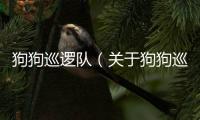 狗狗巡邏隊（關于狗狗巡邏隊的基本情況說明介紹）