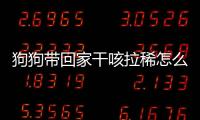 狗狗帶回家干咳拉稀怎么回事？狗狗干咳拉稀吃飯精神正常