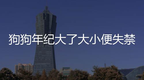 狗狗年紀大了大小便失禁怎么回事(寵物大小便失禁是要死了的前兆么)