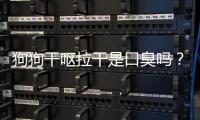狗狗干嘔拉干是口臭嗎？狗狗嘔吐拉干粑粑