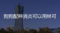 狗狗配種消炎可以用林可霉素嗎？狗狗配種前能打疫苗嗎