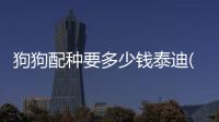 狗狗配種要多少錢(qián)泰迪(狗狗配種后可以驅(qū)蟲(chóng)嗎?)